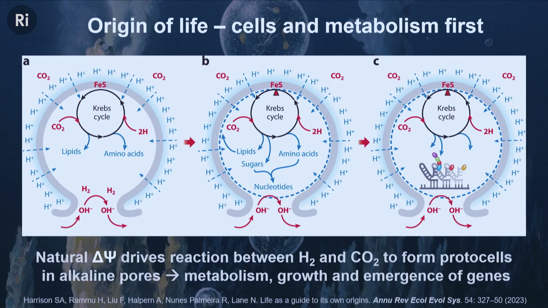 Hypothesis: natural proton gradients in hydrothermal vent pores could have driven the hydrogen-CO2 reaction that builds