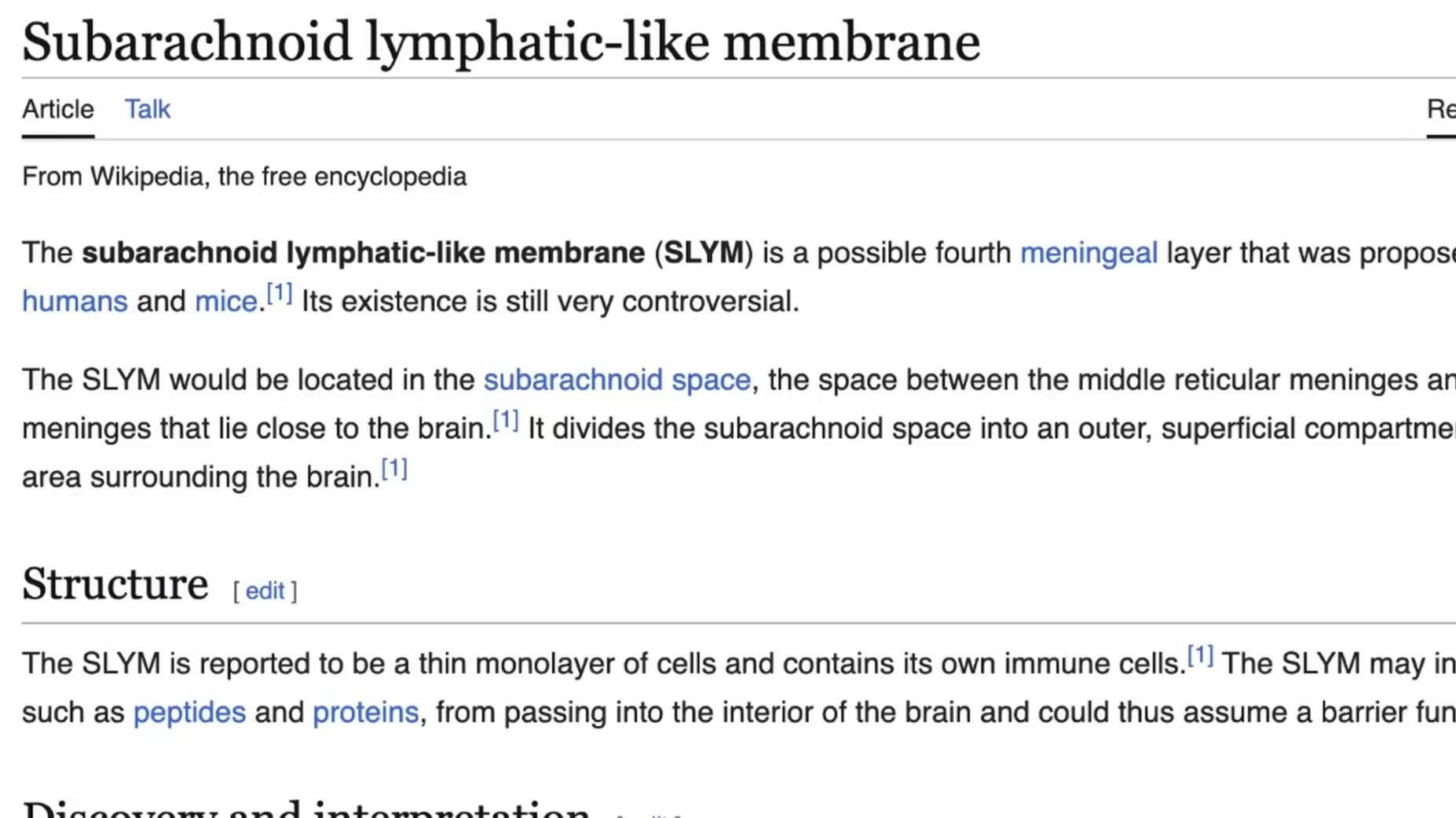 SLYM, a possible fourth meningeal layer discovered in 2023, is described as managing fluid transport and immune defense 
