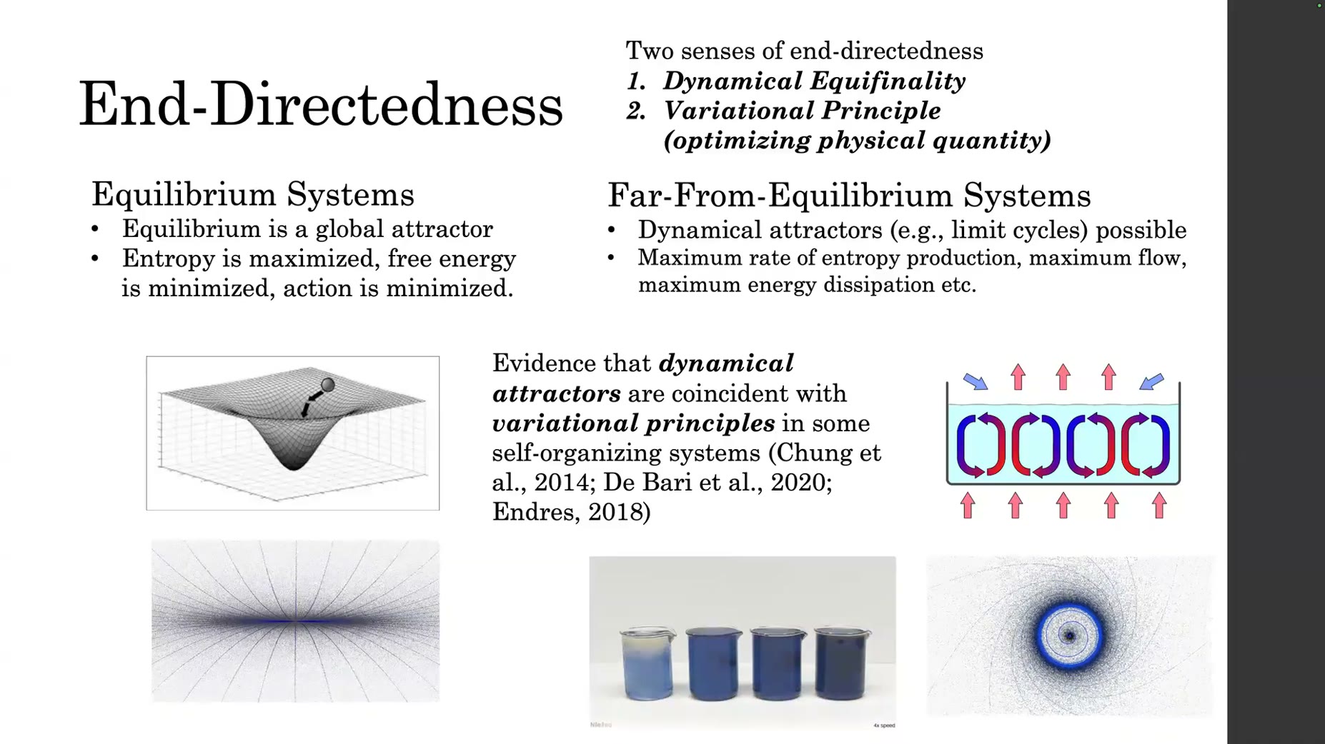 Concept: in far-from-equilibrium systems, candidate variational principles include maximum rate of entropy production, m