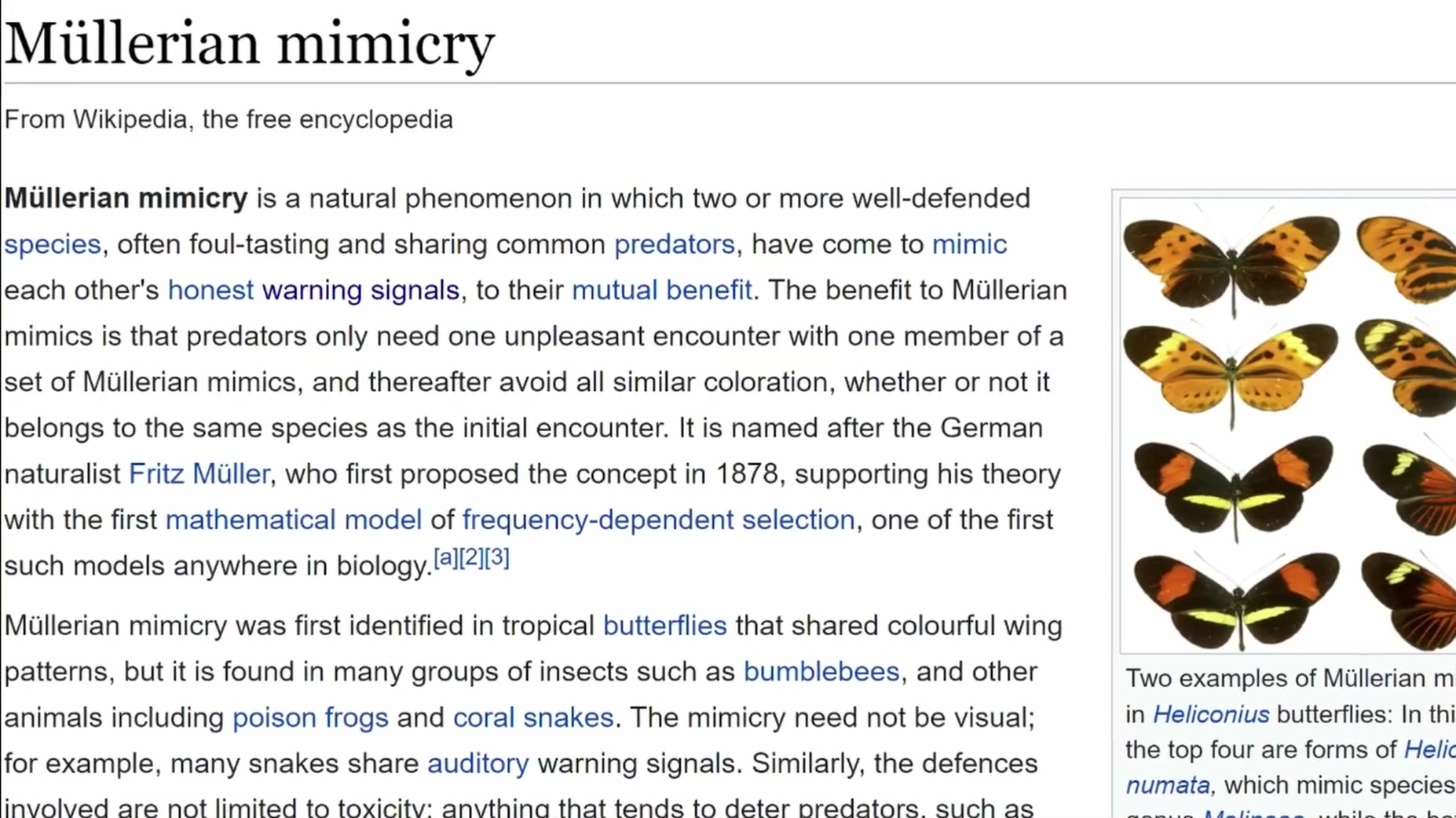 Mullerian mimicry: multiple well-defended species mimic each other's warning signals so predators need only one bad enco
